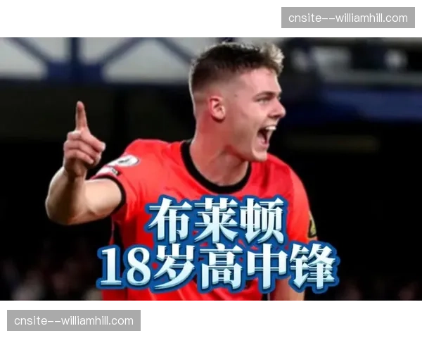 布莱顿弗格森脚踝伤情，中锋位置深度储备接受考验